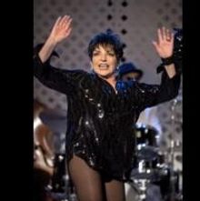 AUDIO: Liza Minnelli Sings 'Single Ladies' for Sex and the City 2